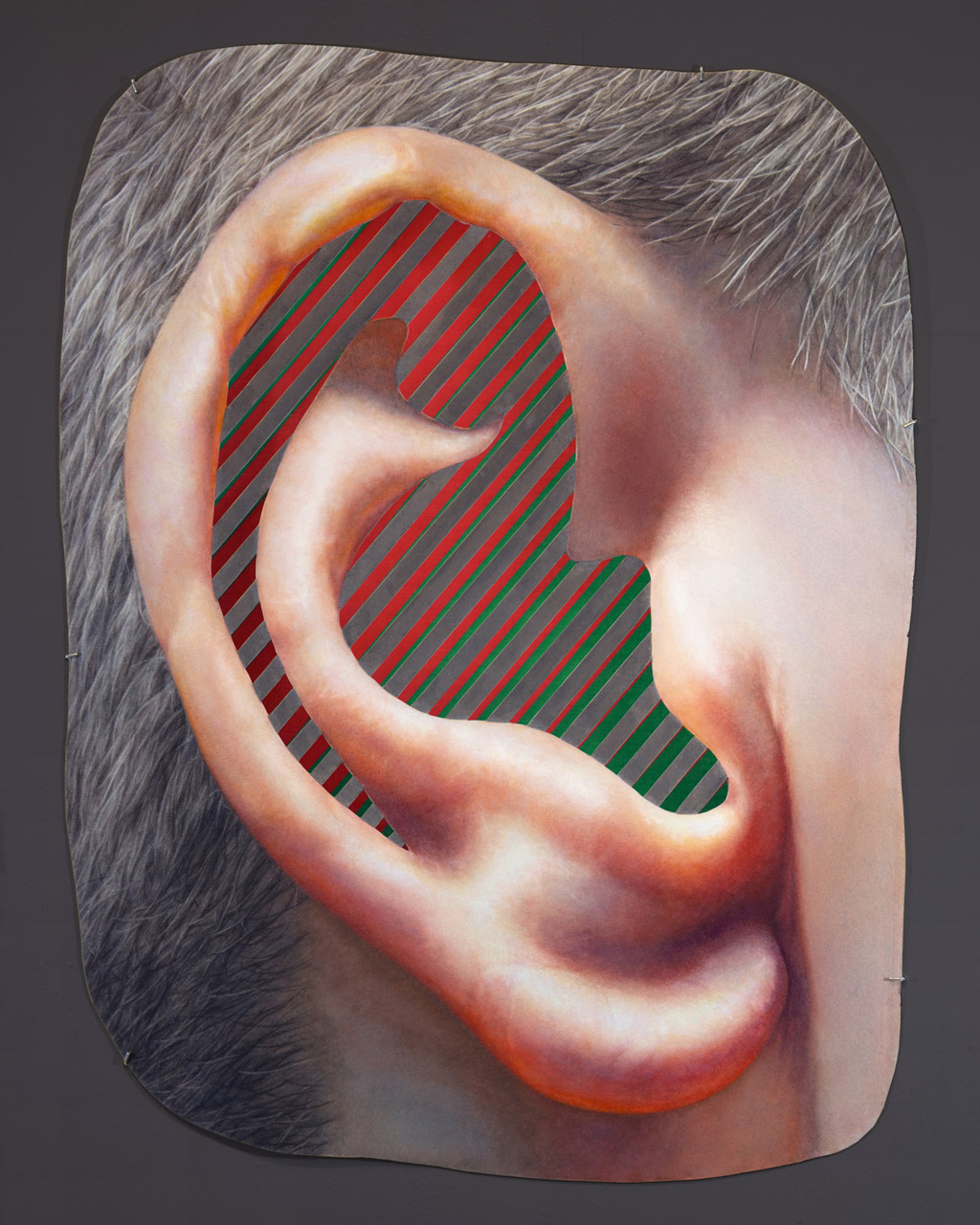 Painting of ear framed by short grey hair with green and red stripes inside it.